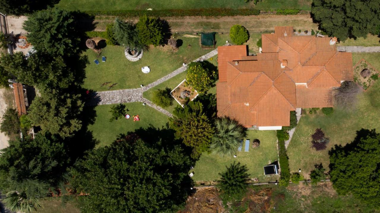 Tatil Evi Palmera *