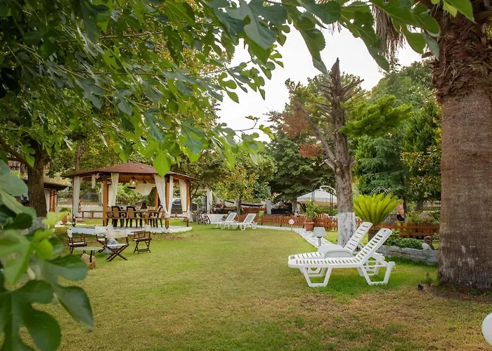 Villa Palmera