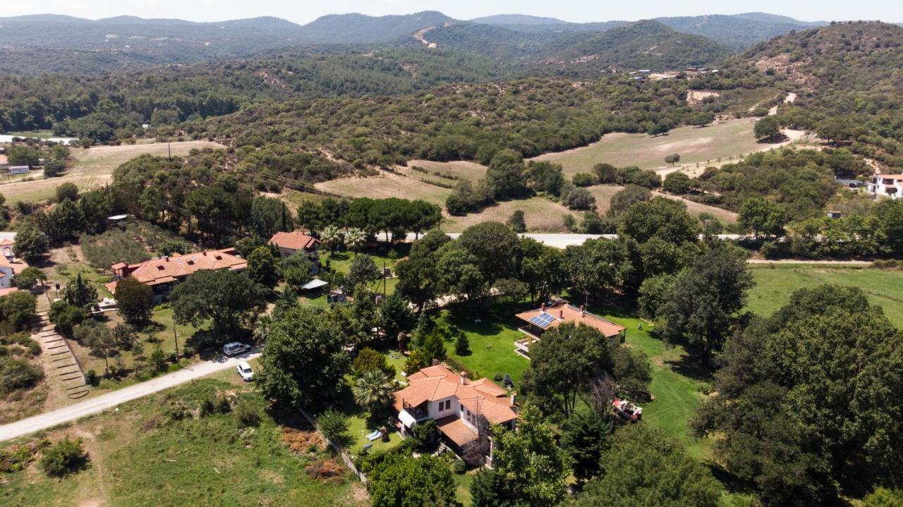 Tatil Evi Palmera